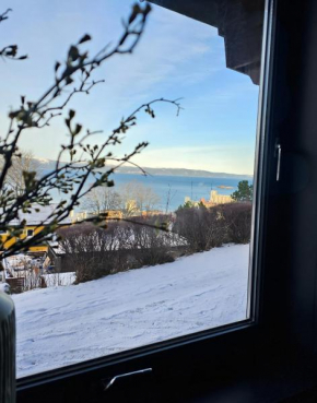 Trondheim Tiny Homes Classic Apt